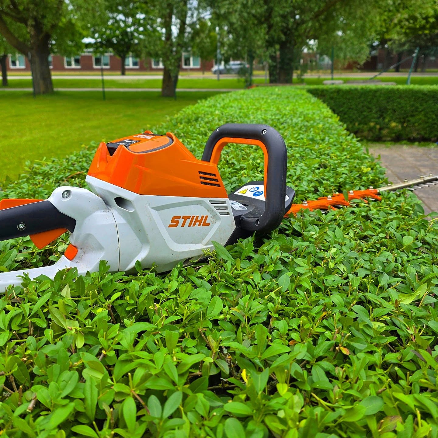 Batteridriven häcksax på en nyklippt formad häck